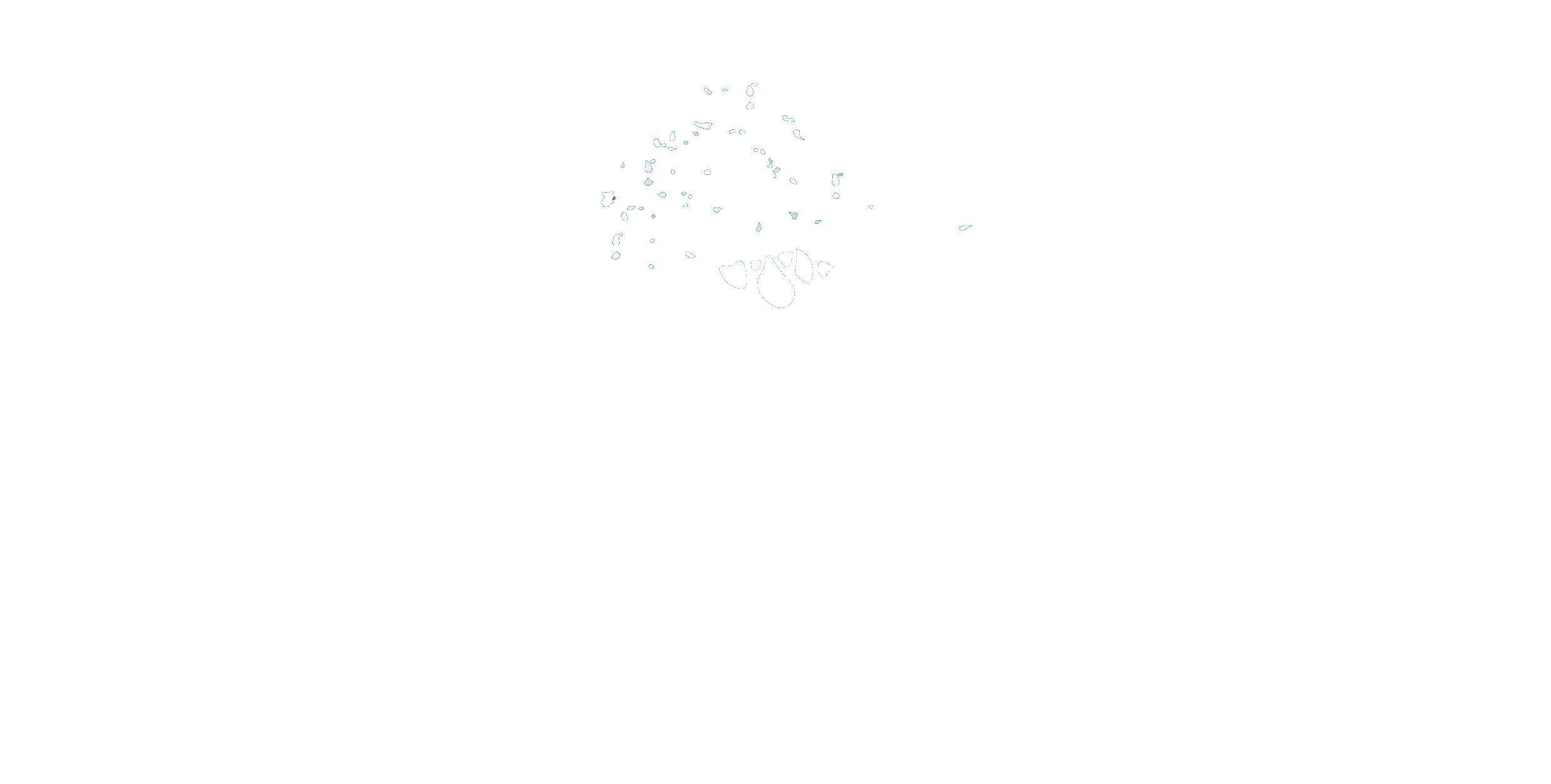 Correduria D'assegurances Tonipe S.L